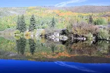 9-29c.webp
