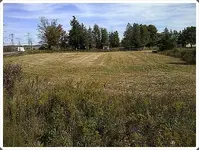 The Field.webp
