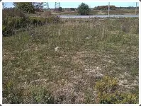 Archeology Dig Site.webp