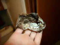 SAM_0315.webp SAM_0315.webp