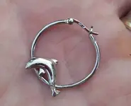 925 Dolphin Earring.webp 925 Dolphin Earring.webp