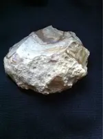 image-616051498.webp
