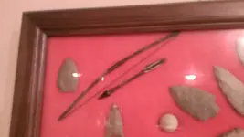 IMAG0913.webp IMAG0913.webp