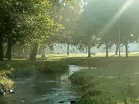 DSCF0003.webp