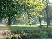 DSCF0008.webp