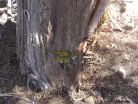 P1010364.webp