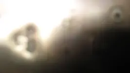 003.webp