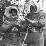 Abbot and Costello go to Mars 1.webp