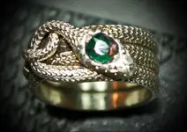 Ring 67.webp