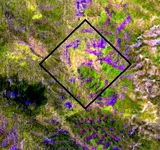 Aster_1_LDM_New_Alter-Zone_crop.webp