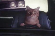 355.gif 355.gif