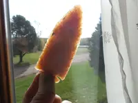 DSCN3499.webp
