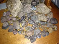 image-1967691327.webp
