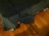 image-2873986818.webp