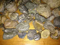 image-1259622842.webp