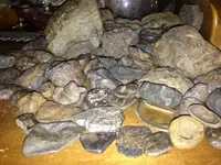 image-2666018261.webp
