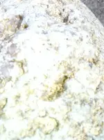 image-3428152335.webp