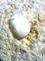 image-88806678.webp
