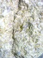 image-2668664042.webp