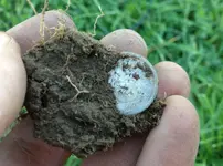 Dirty dime resized.webp