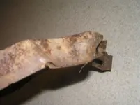 P9280033.webp