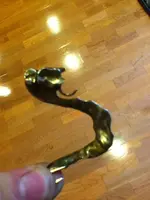 image-188891930.webp