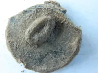DSCN5706.webp