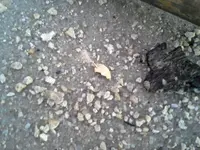 20130917_192834.webp