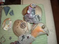 pic6.webp