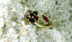 earrings and silver ring cbs2.webp