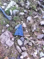 image-1102367806.webp