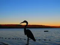 IMG_0150.webp