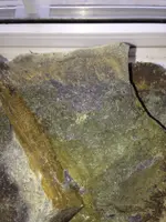 image-2925916799.webp