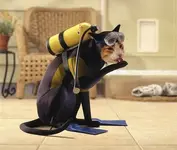 scuba-cat.webp scuba-cat.webp