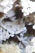 image-1601394481.webp