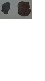 coinside2.webp coinside2.webp