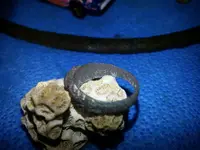 20131015_021234.webp 20131015_021234.webp