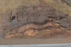 At least 200million years old! sm vers.webp