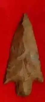 KirkStemmedSA.webp