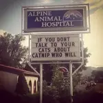 catniptalk.webp catniptalk.webp