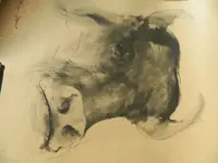 DSCN5742.webp