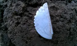 IMAG0558.webp