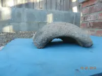 DSCN0490.webp
