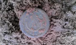 IMAG0605.webp