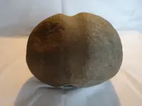Indian hammer stone 004.webp