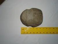 Indian hammer stone 007.webp