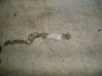 larg 029.webp