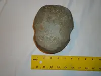 Indian hammer stone 009.webp