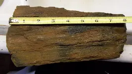 Different Rocks 002.webp