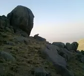 P020109_16.57.webp